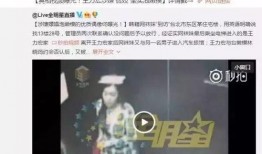 狗仔语音爆料王力宏视频,狗仔语音爆料背后的真相